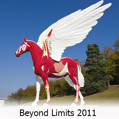 Beyond Limits sculpture exhibition 2011